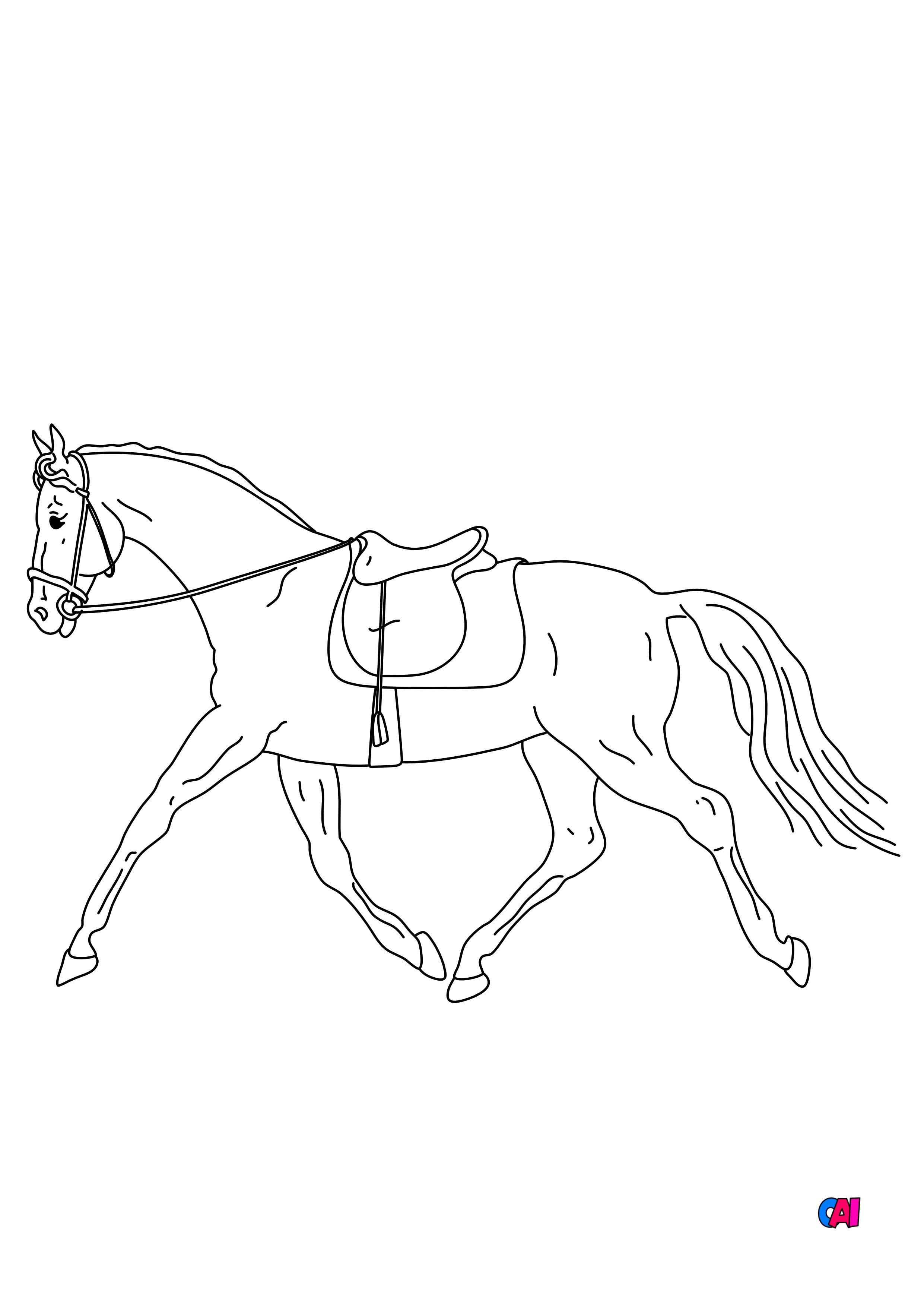 Coloriages De Dressage De Chevaux Harnais De Cheval Un Ensemble Coloriages De Dressage De Chevaux Harnais De Cheval Un Ensemble
